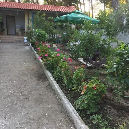 Tatil Evi Albear